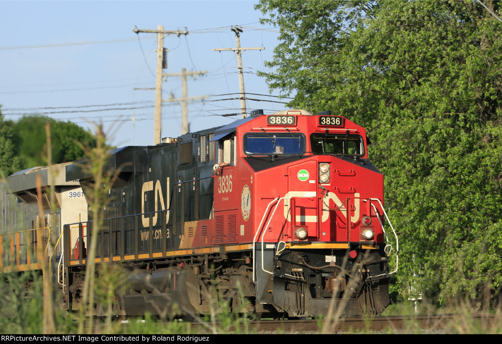 CN 3836